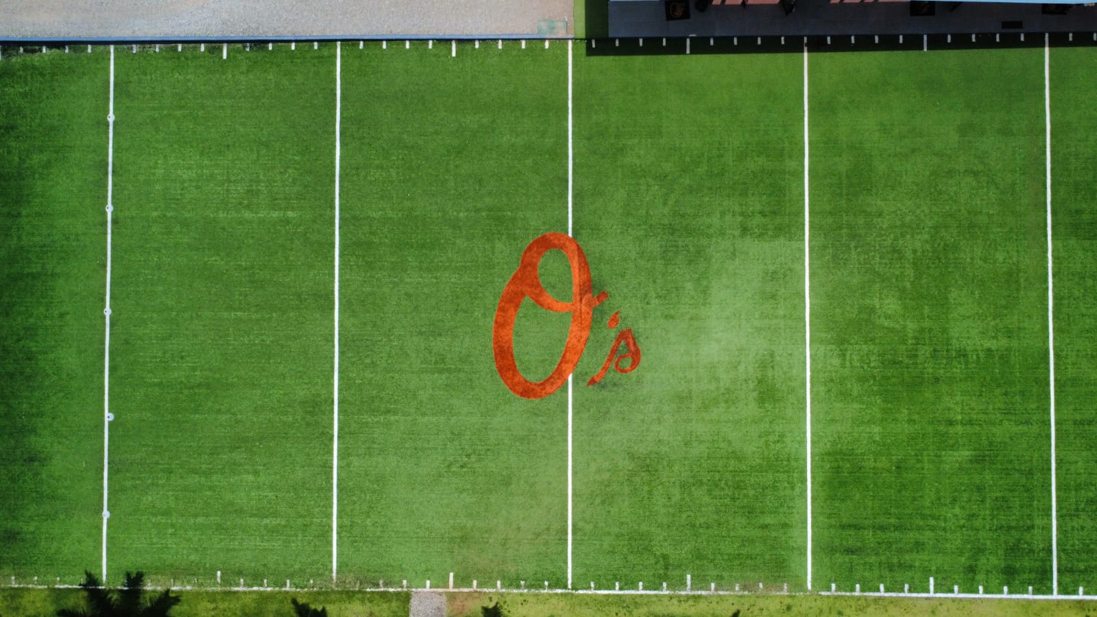 Complejo de béisbol de los Baltimore Orioles — Campo de agilidad sintético
