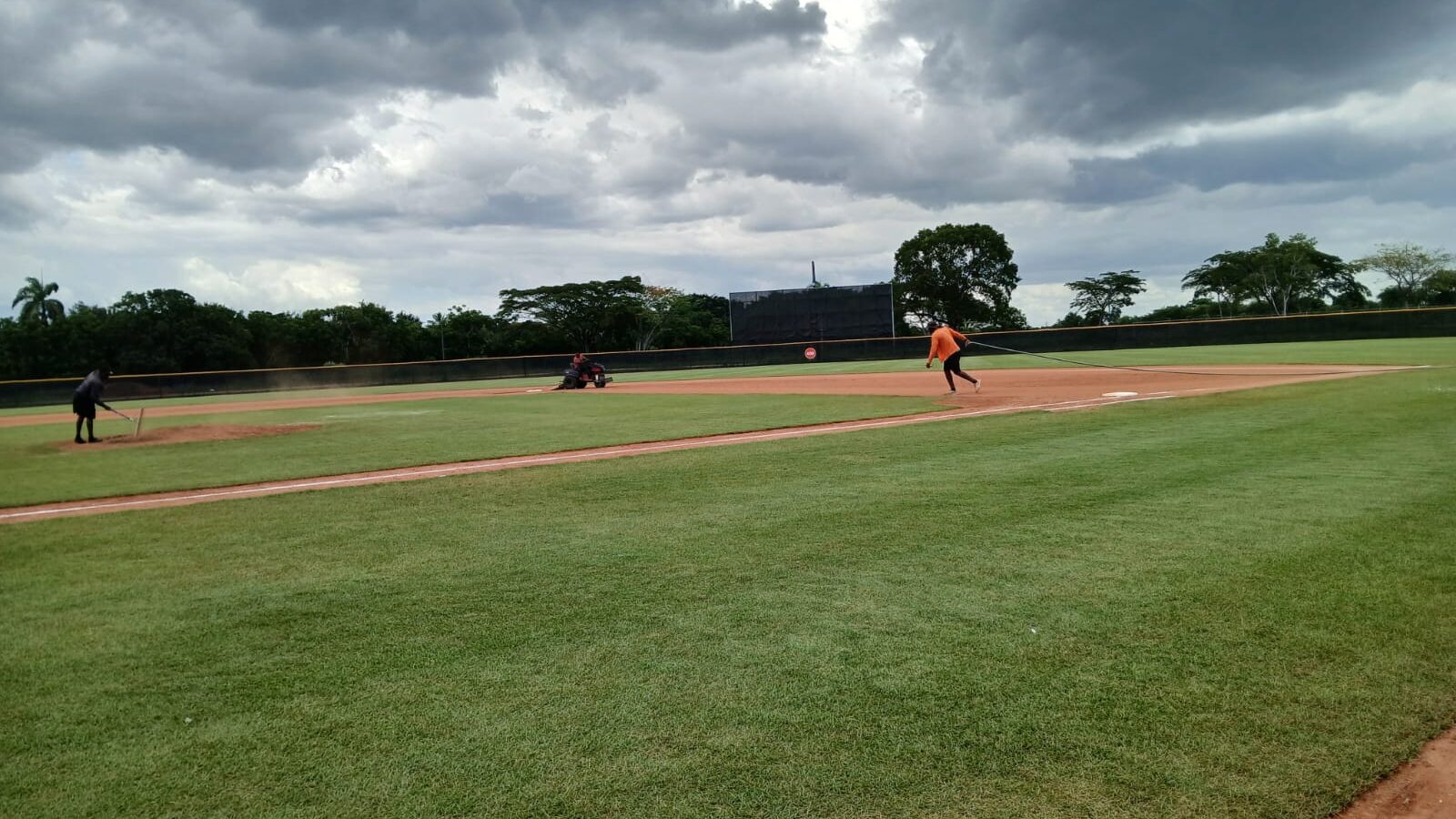 Complejo de béisbol de los Baltimore Orioles — Campo de césped natural en uso